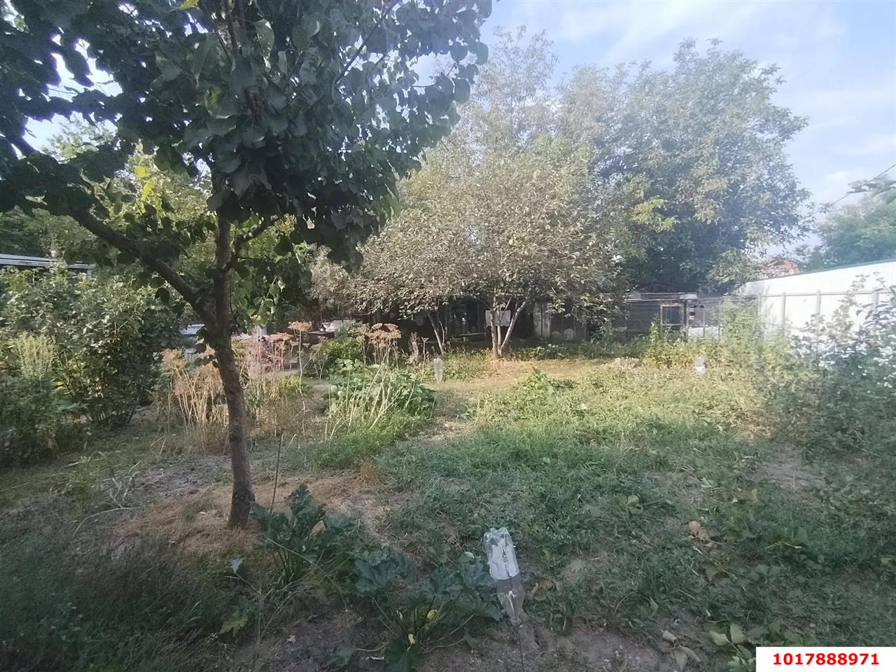 Фото №18: Дом 40&nbsp;м² + 4.5&nbsp;сот., 1&nbsp;эт. - СНТ Берег Кубани ВНИИ риса, мкр. Прикубанский внутригородской округ, ул. Малиновая