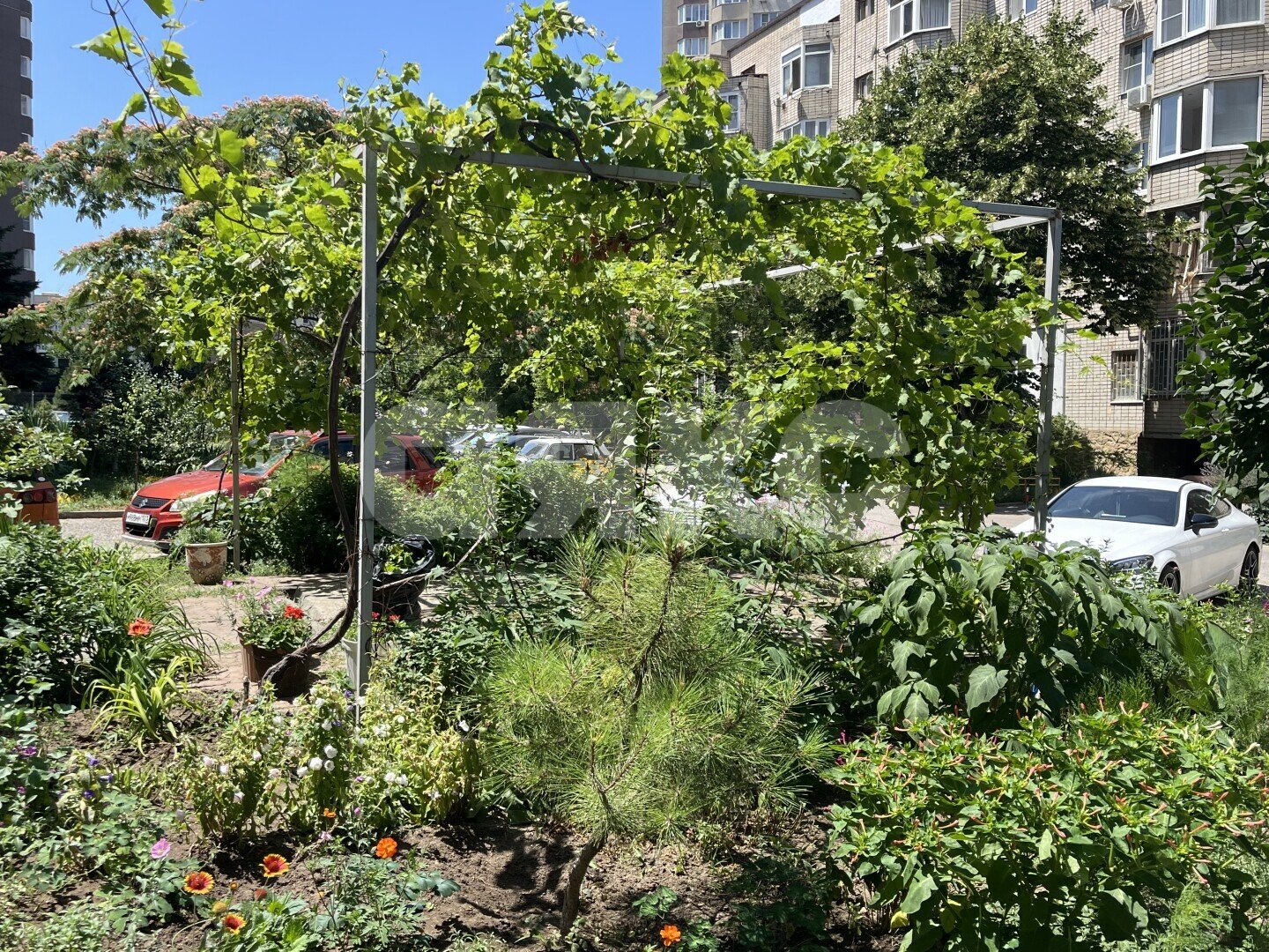 Фото №28: 4-комнатная квартира 200&nbsp;м², 9/9&nbsp;эт. - Анапа, мкр. 3Б, ул. Ленина, 213