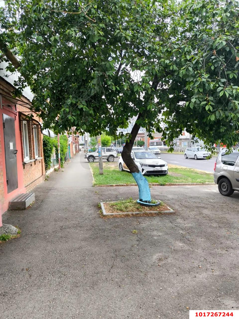 Фото №10: 1-комнатная квартира 30&nbsp;м², 1/1&nbsp;эт. - Краснодар, Западный внутригородской округ, мкр. Центральный, ул. имени Калинина, 307