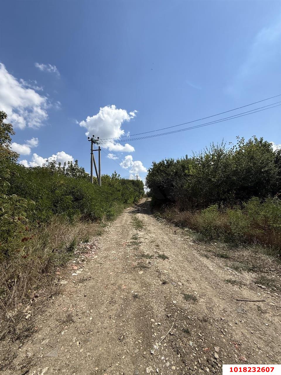 Фото №5: Личное подсобное хозяйство 6.26&nbsp;сот. - ДП Дахаба, мкр. ДНТ Октябрьское, ул. имени А.А. Джаримова, 10