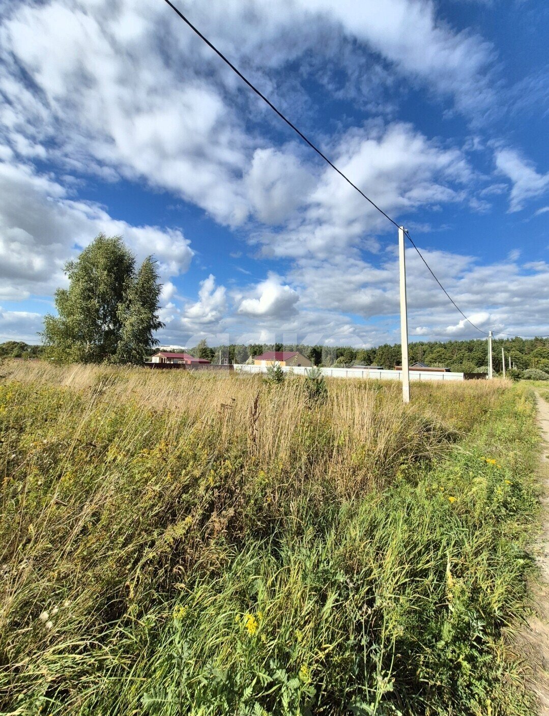 Фото №3: Земельный участок под ИЖС 12&nbsp;сот. - Вострянское, ул. Новая, 21