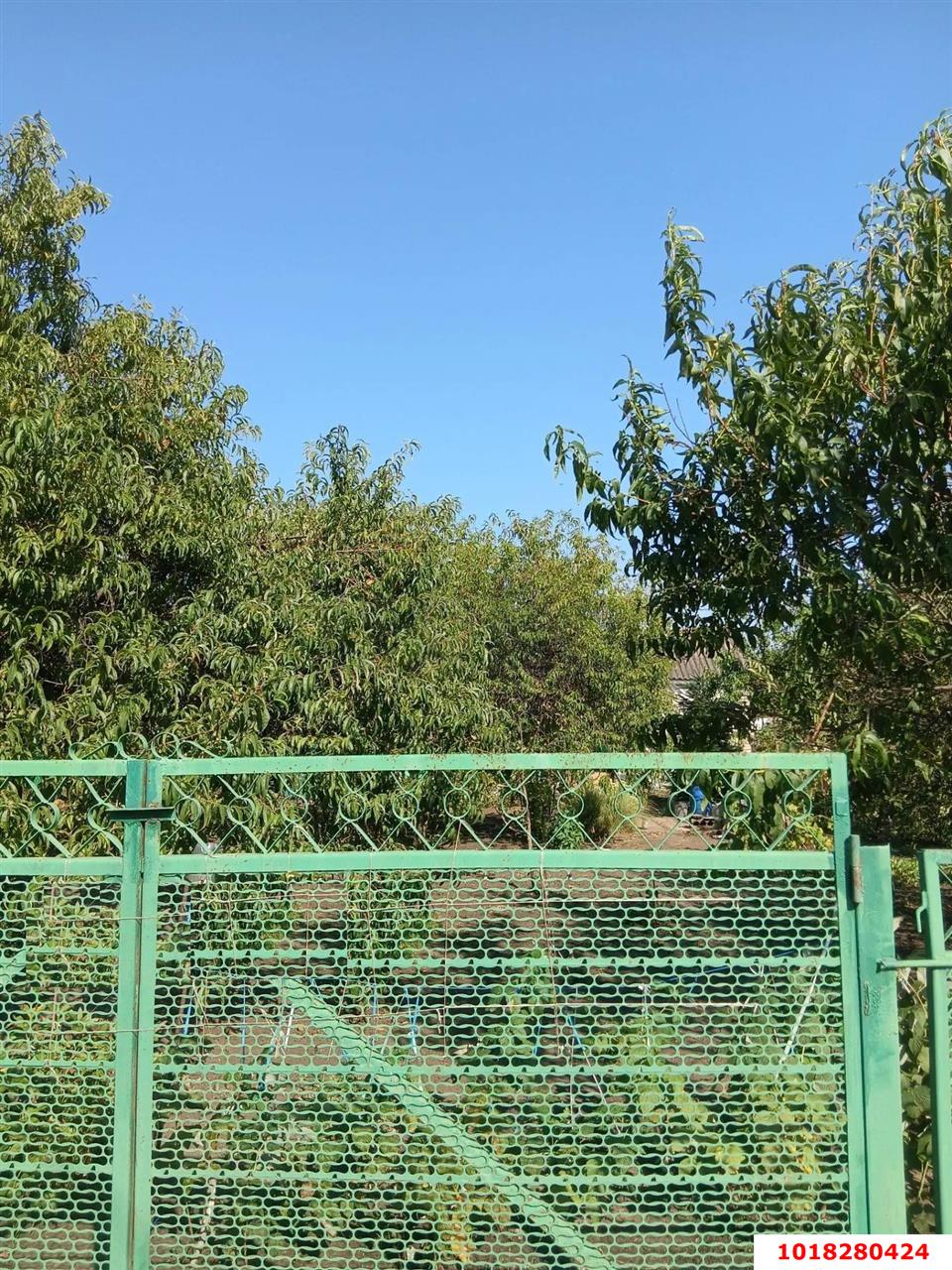 Фото №2: Личное подсобное хозяйство 6.5&nbsp;сот. - № 2 АО ЮГТЕКС, мкр. Прикубанский внутригородской округ, ул. Абрикосовая