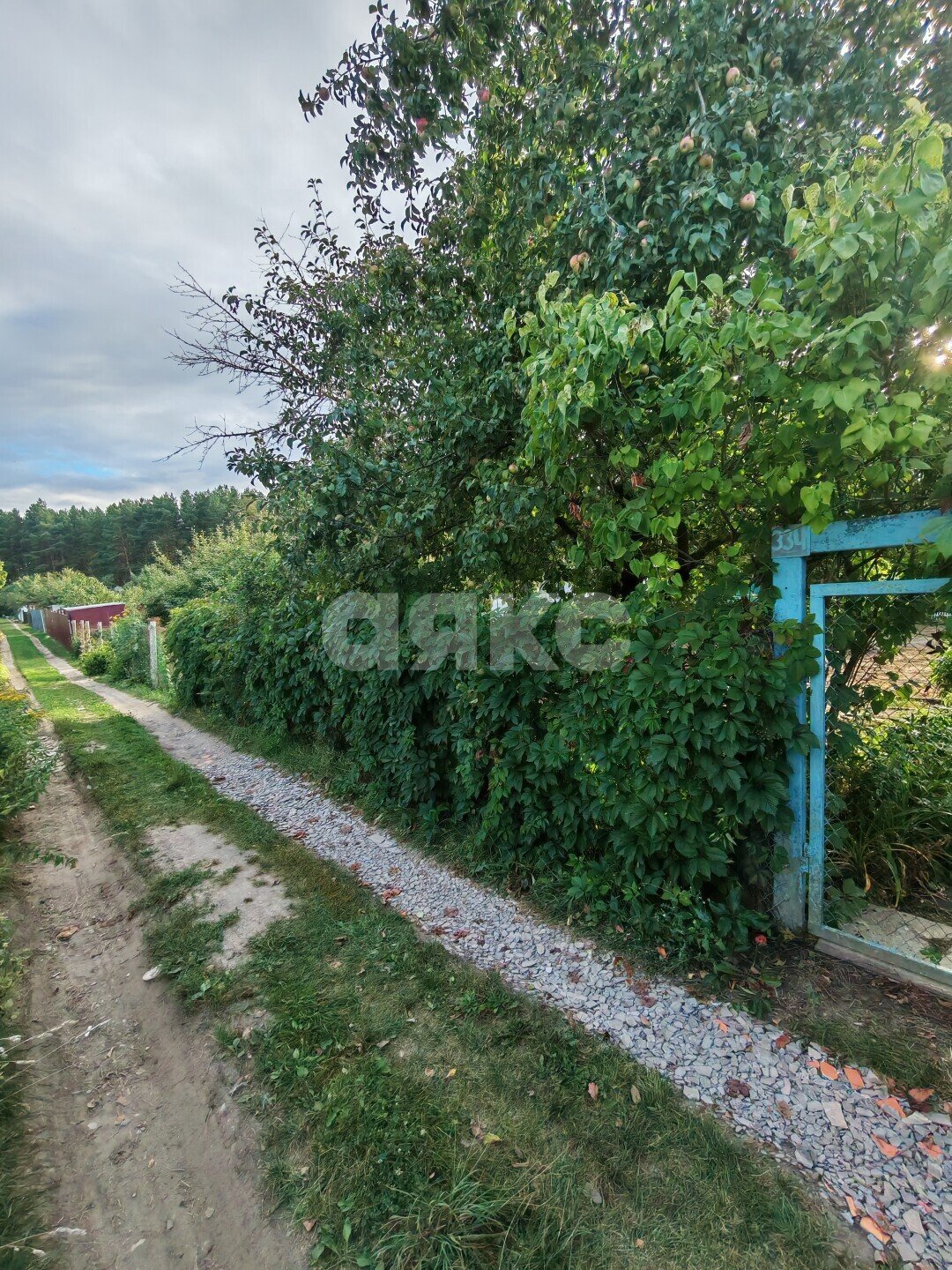 Фото №27: Дача 36&nbsp;м² + 5.16&nbsp;сот., 2&nbsp;эт. - Воскресенск, мкр. СНТ Отдых, 334