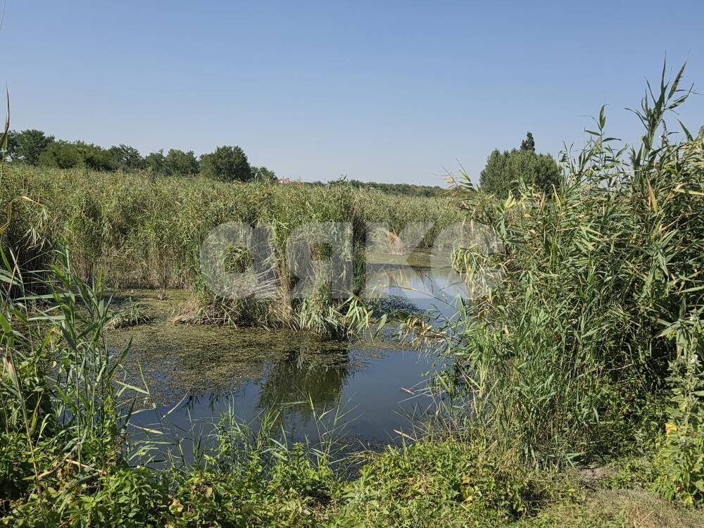 Фото №5: Земельный участок под ИЖС 23&nbsp;сот. - Бураковский, ул. Чапаева, 2