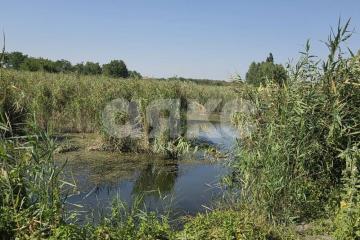 Фото №1: Личное подсобное хозяйство 25&nbsp;сот. - Бураковский, 