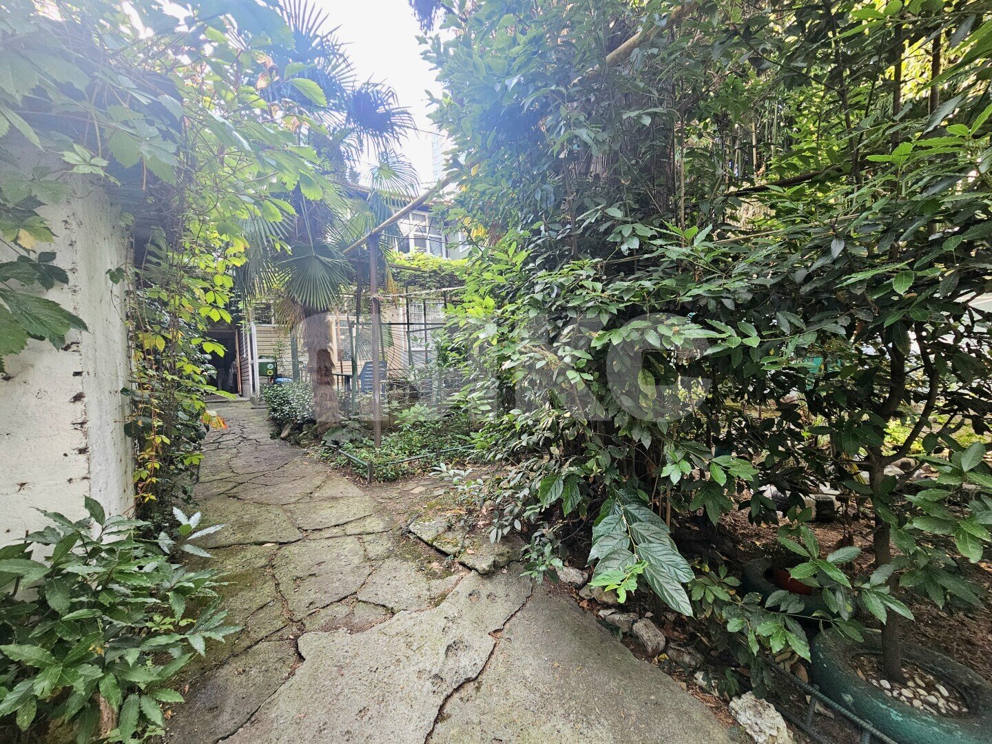 Фото №17: 2-комнатная квартира 35&nbsp;м², 1/2&nbsp;эт. - Сочи, р. Центральный, ул. Горького, 10