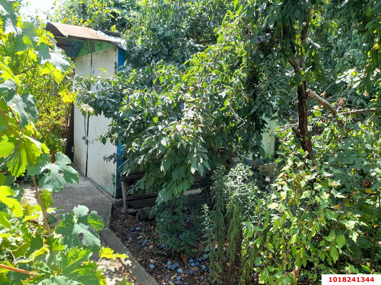 Фото №7: Дом 24&nbsp;м² + 4&nbsp;сот., 1&nbsp;эт. - СНТ Строитель, мкр. Прикубанский внутригородской округ, ул. Розовая