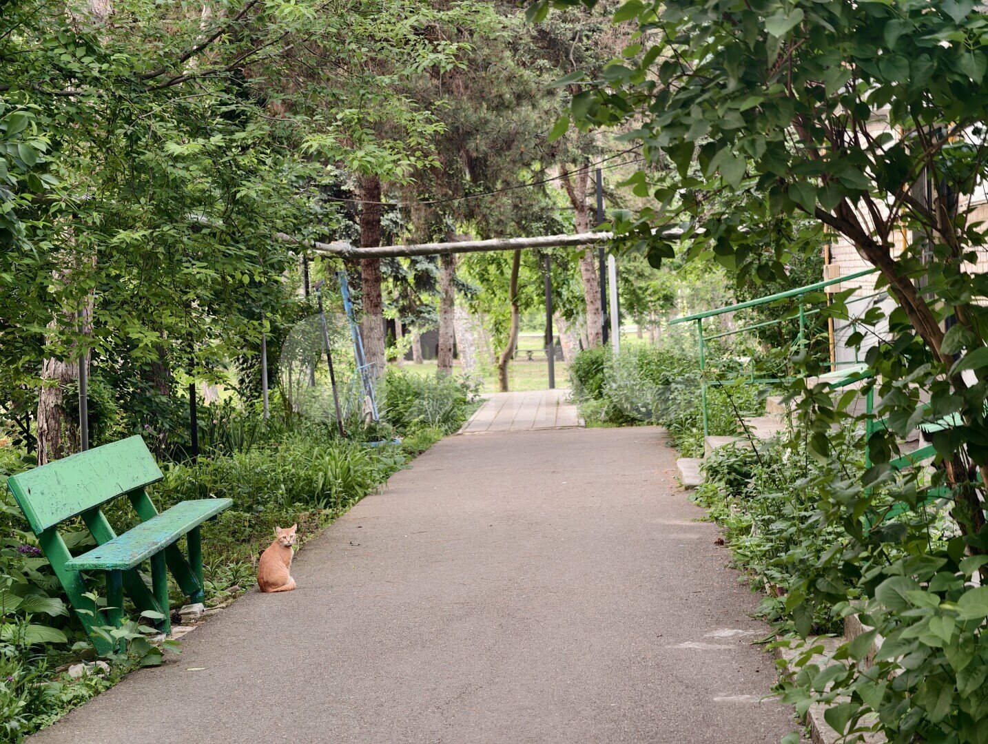 Фото №35: 2-комнатная квартира 53&nbsp;м², 1/3&nbsp;эт. - Кореновск, ул. Нижняя, 4