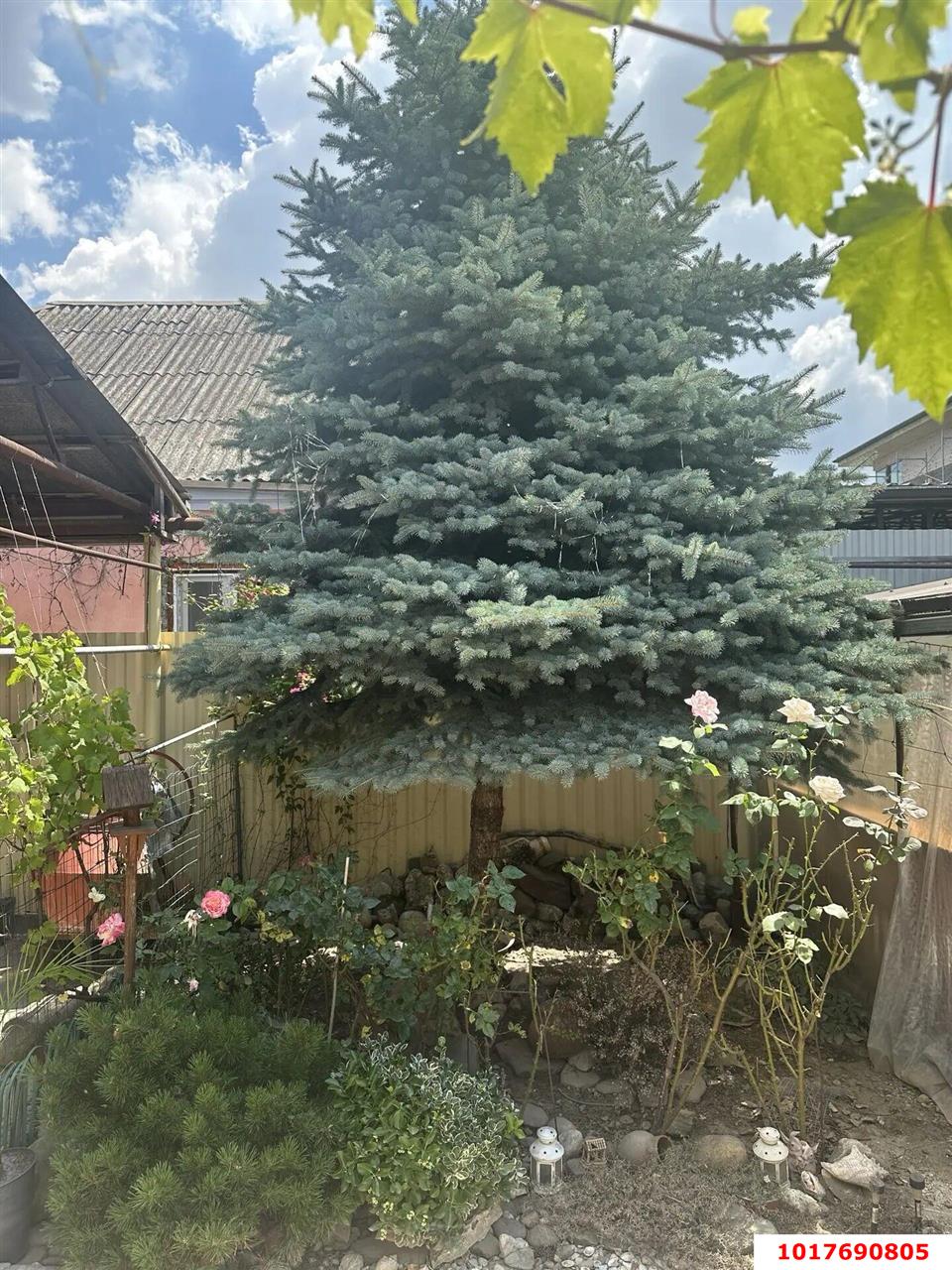 Фото №18: Дом 43&nbsp;м² + 3.75&nbsp;сот., 1&nbsp;эт. - Краснодар, Прикубанский внутригородской округ, мкр. 9-й километр, пр-д 1-й  Талалихина, 21
