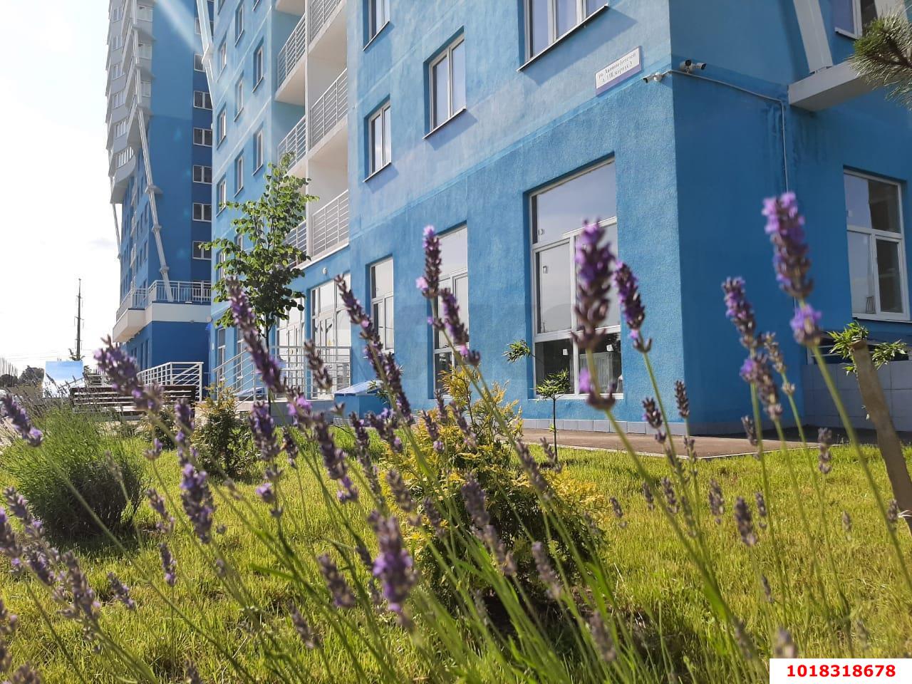 Фото №5: Студия 29&nbsp;м², 17/24&nbsp;эт. - Краснодар, Карасунский внутригородской округ, Гидростроителей, мкр. жилой комплекс Парусная Регата, ул. Автолюбителей, 1Дк2