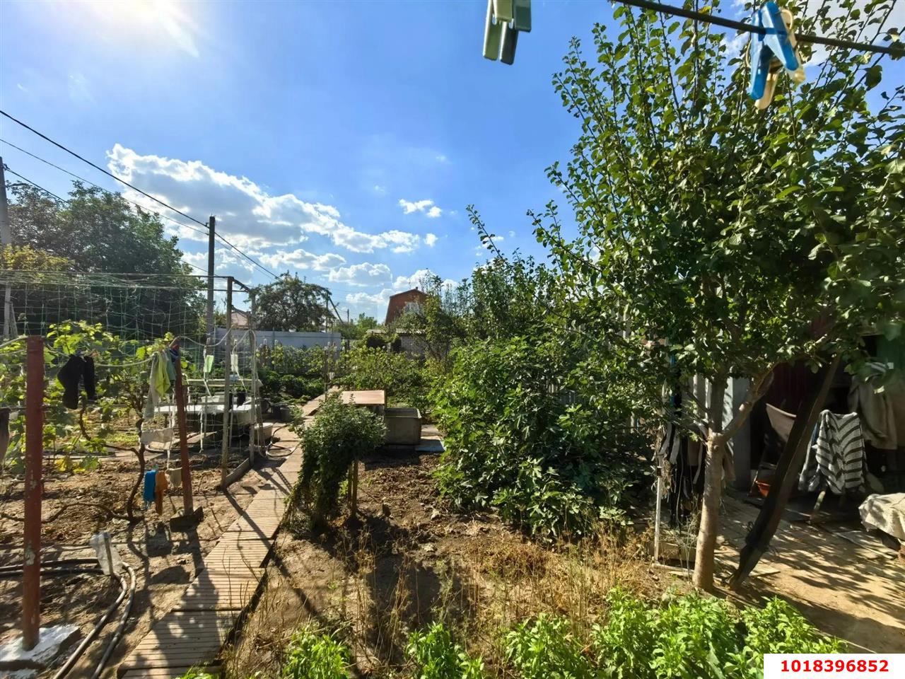 Фото №3: Дом 25&nbsp;м² + 4.13&nbsp;сот., 1&nbsp;эт. - СНТ Политехник, мкр. Прикубанский внутригородской округ, ул. Кубанская, 450