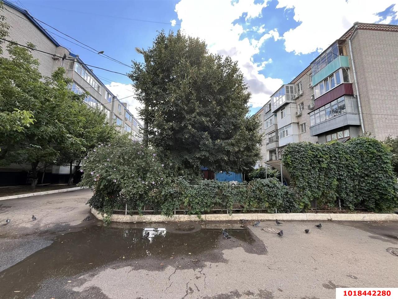 Фото №17: 1-комнатная квартира 25&nbsp;м², 5/5&nbsp;эт. - Краснодар, Прикубанский внутригородской округ, мкр. Завод Измерительных Приборов, ул. Московская, 86