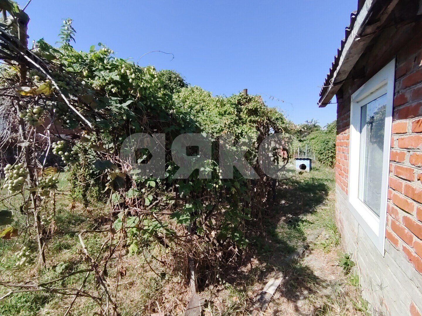 Фото №18: Дом 56&nbsp;м² + 15&nbsp;сот., 1&nbsp;эт. - Кореновск, мкр. 1-й квартал, ул. Трудовая, 20