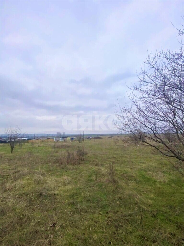 Фото №4: Участок садоводство 8&nbsp;сот. - Куток