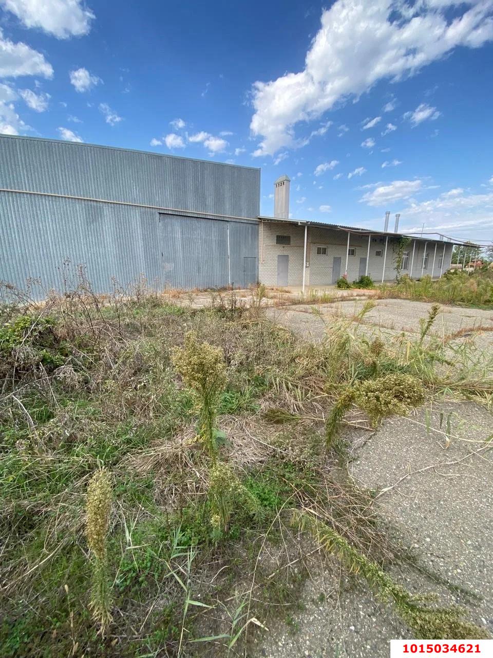 Фото №3: Производственное помещение 921&nbsp;м², 1/1&nbsp;эт. - Краснодар, мкр. Прикубанский внутригородской округ