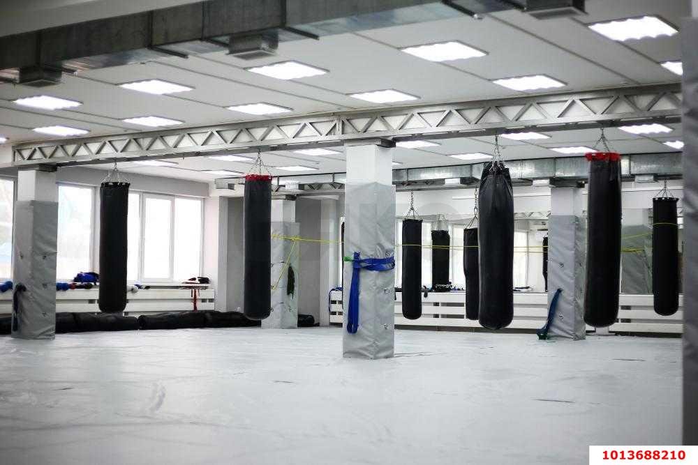 Фото №3: Торговое помещение 536&nbsp;м², 3/3&nbsp;эт. - Краснодар, Западный внутригородской округ, мкр. Юбилейный, ул. 70-летия Октября, 20/3