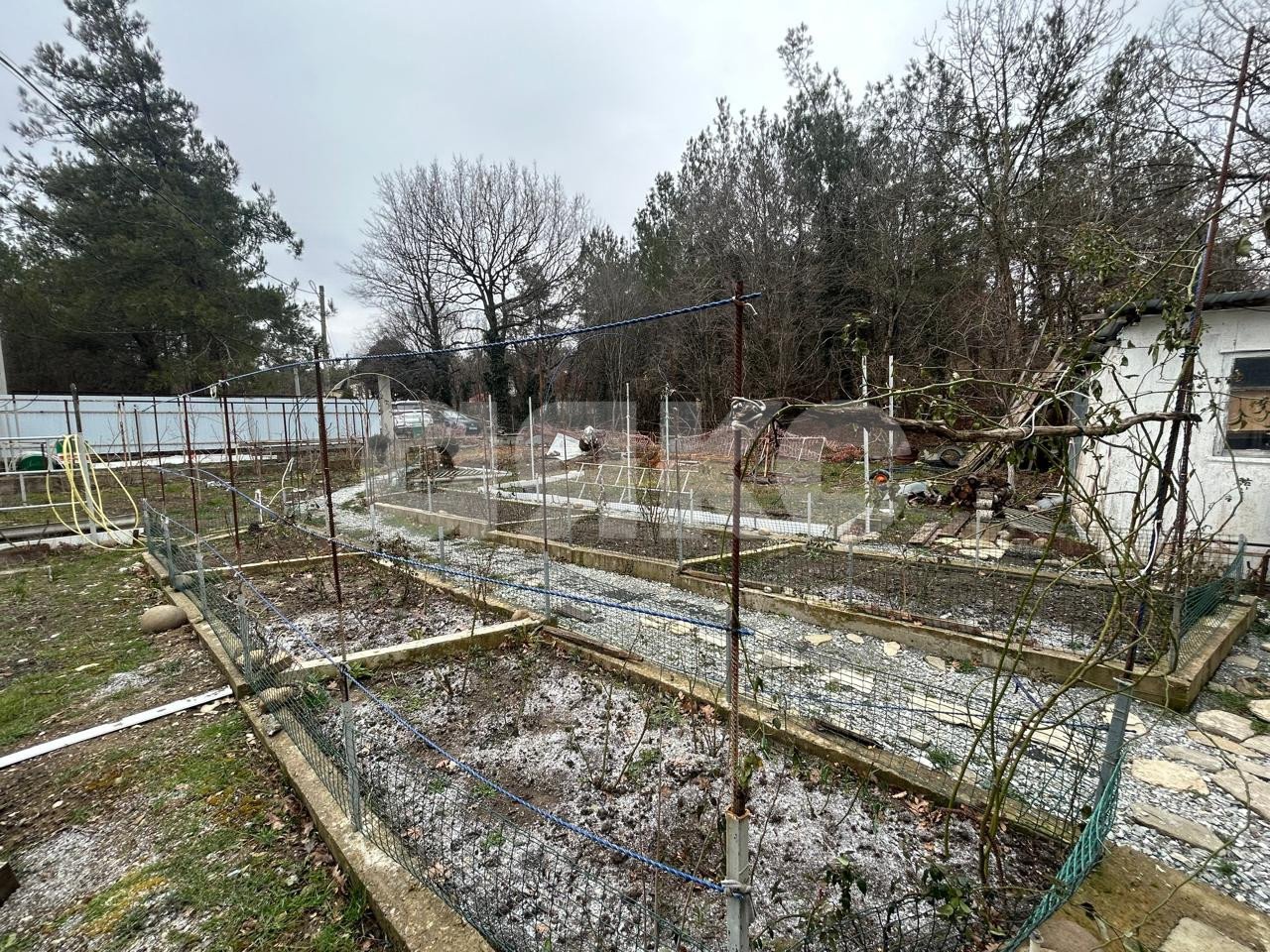 Фото №5: Участок садоводство 6.06&nbsp;сот. - СНТ Геолог, ул. Заречная