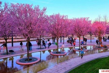 Фото №5: Земельный участок под ИЖС 8.02 сот. - Краснодар, мкр. Плодородный-2, ул. Алексеевская, 46